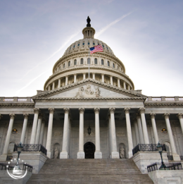 A wide shot of the House of Representatives building 